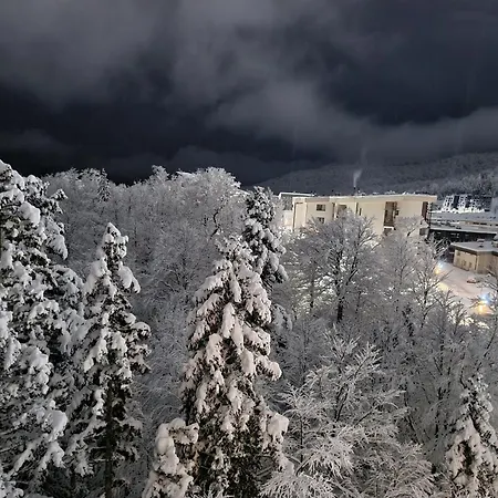 Pinesky Apartment Bjelašnica