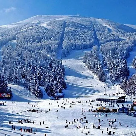 Pinesky * Bjelašnica